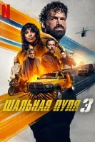 Шальная пуля 3